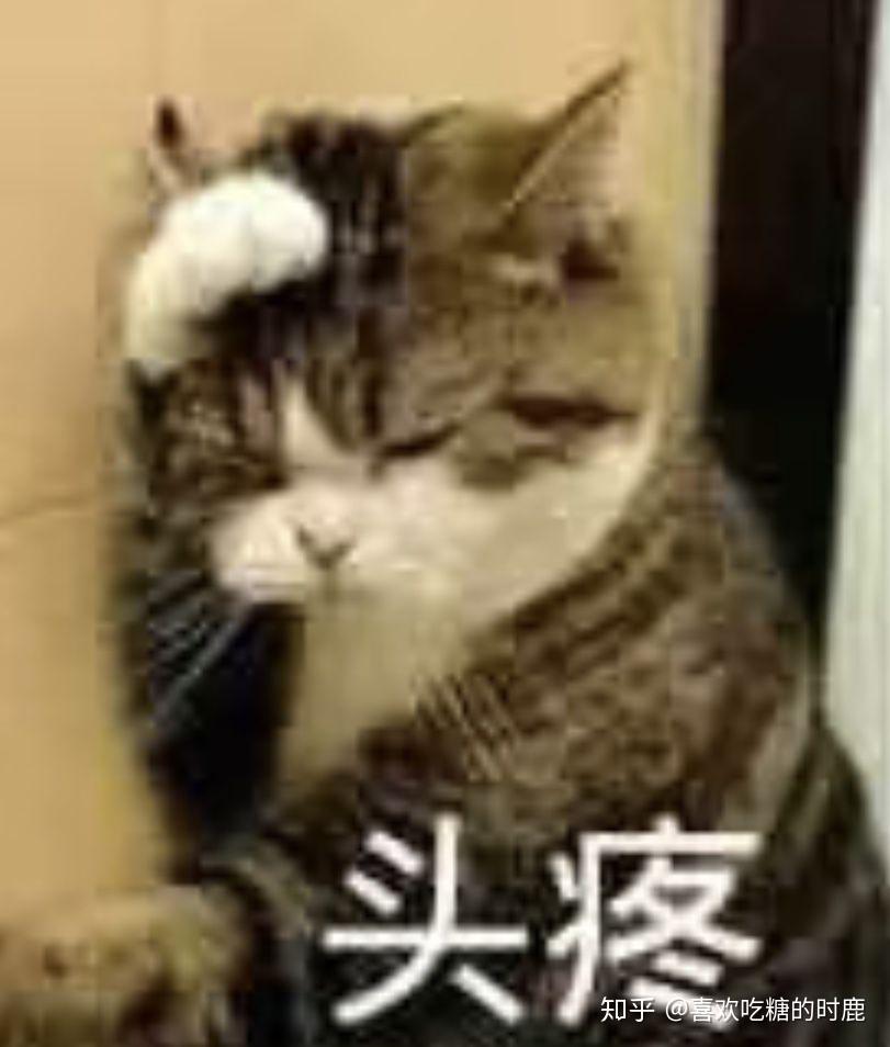 带猫的男生头像最新版，制作指南与精选头像推荐