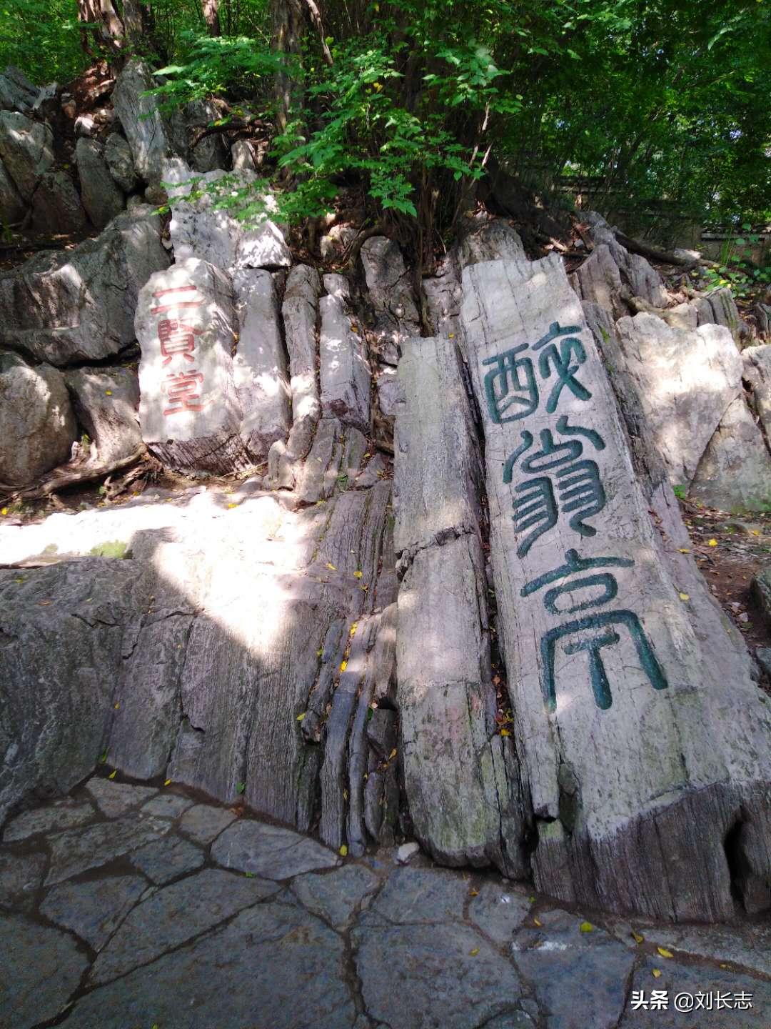 滁州机场建设最新进展，全面指南揭秘建设进度与未来展望