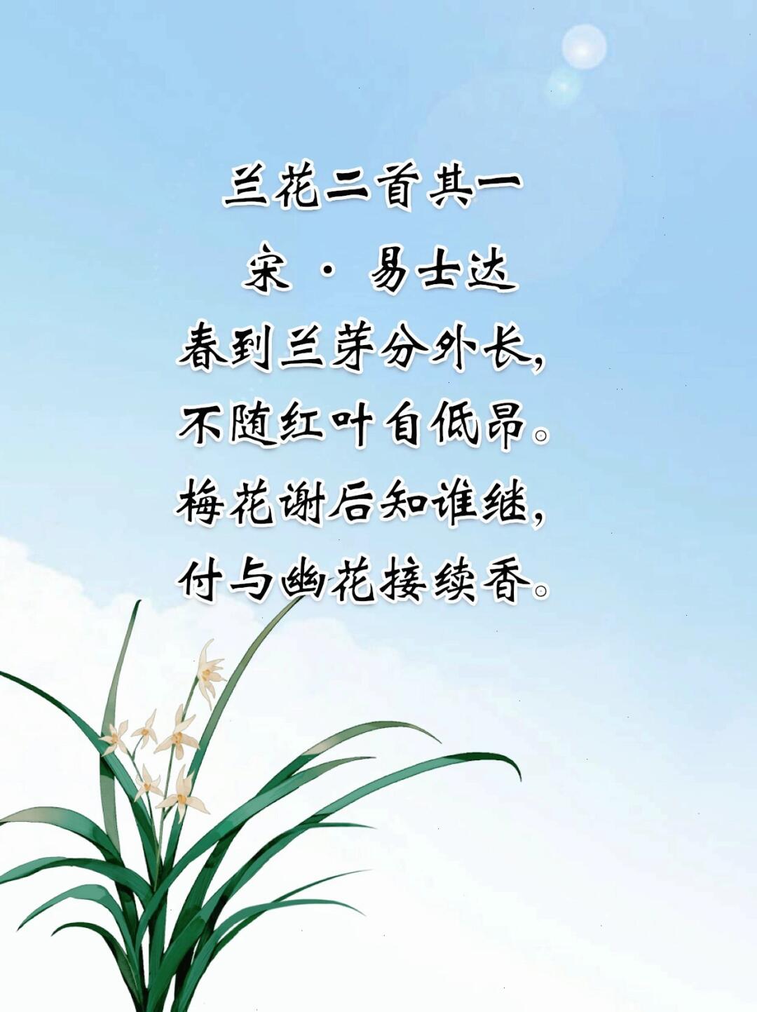 最新左岸春风一语断兰，观点论述与深度解析